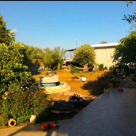 Appartamento בחצר של טובה Hazon Esterno foto