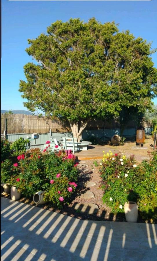 Appartamento בחצר של טובה Hazon Esterno foto