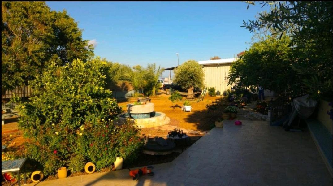 Appartamento בחצר של טובה Hazon Esterno foto